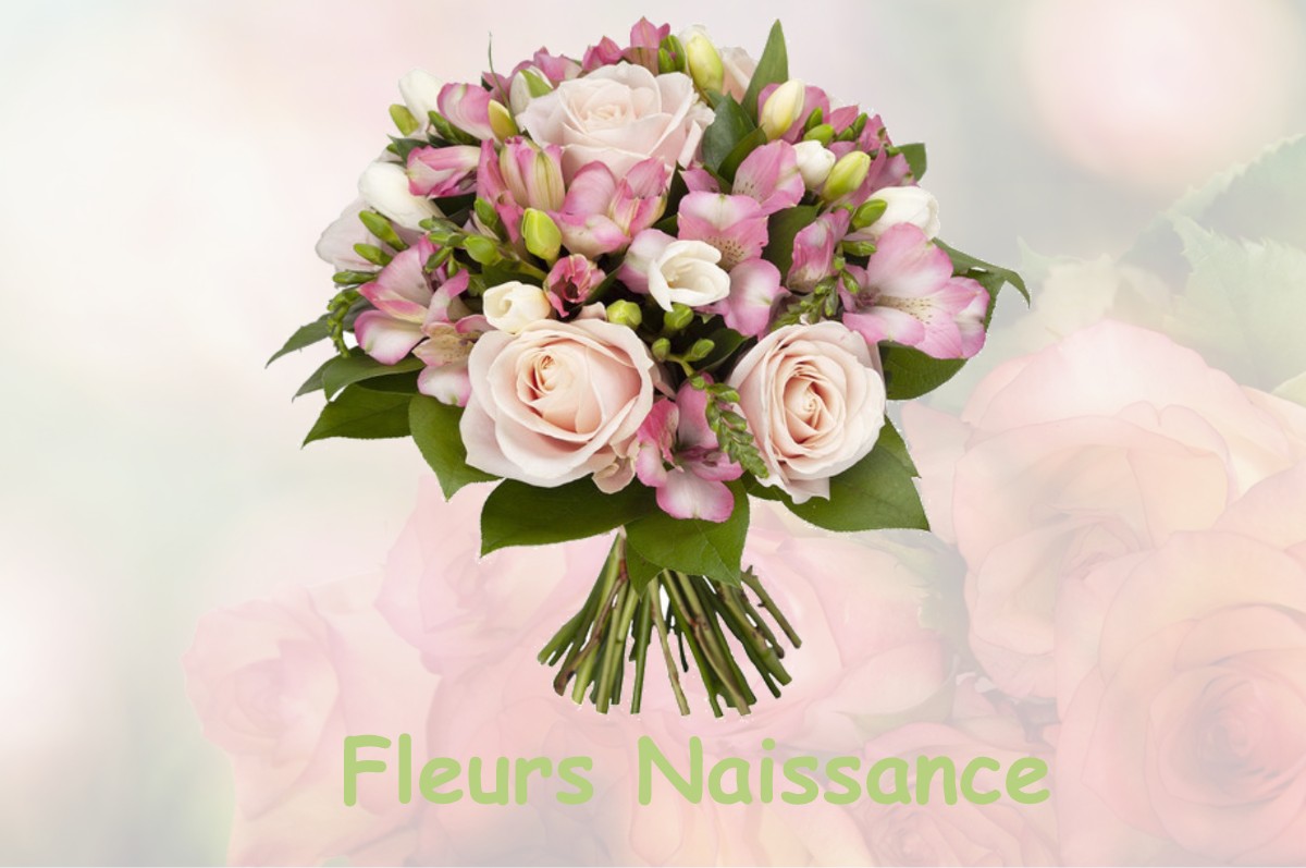 fleurs naissance LABASTIDE-VILLEFRANCHE